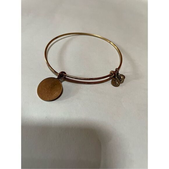 Alex and Ani Tree of Life Expandable Bangle Stacking Bracelet 7 in - Picture 2 of 2